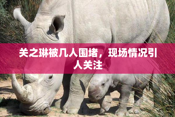 关之琳被几人围堵，现场情况引人关注
