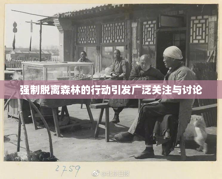 强制脱离森林的行动引发广泛关注与讨论
