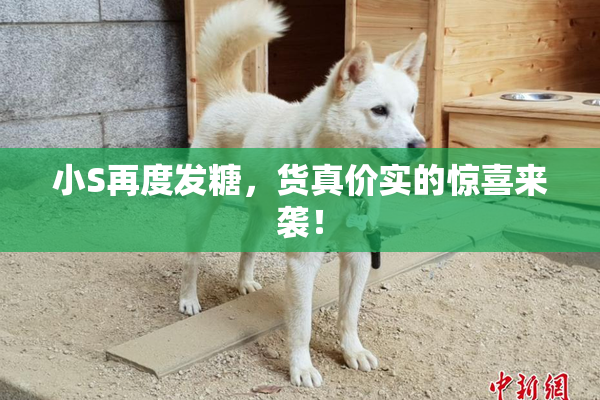 小S再度发糖，货真价实的惊喜来袭！