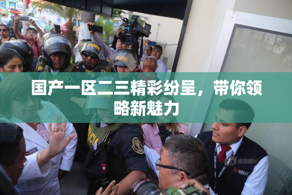 国产一区二三精彩纷呈，带你领略新魅力