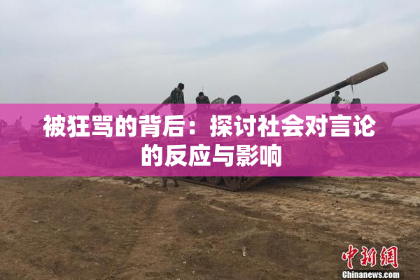 被狂骂的背后：探讨社会对言论的反应与影响