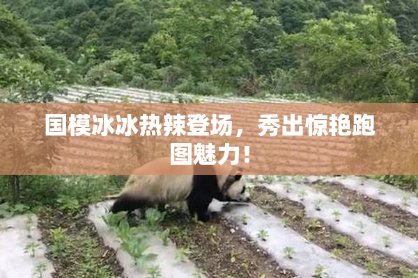 国模冰冰热辣登场，秀出惊艳跑图魅力！