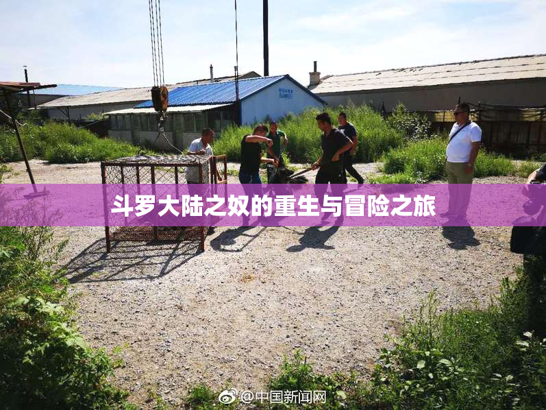 斗罗大陆之奴的重生与冒险之旅