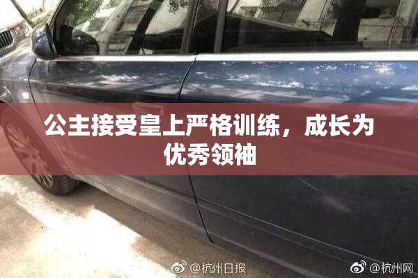 公主接受皇上严格训练，成长为优秀领袖