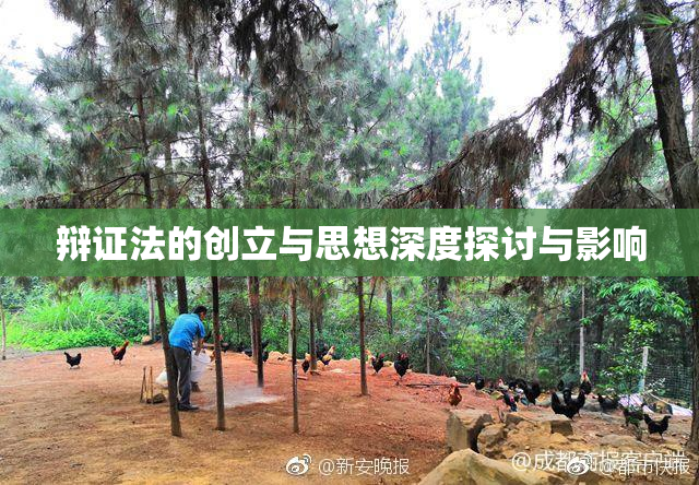 辩证法的创立与思想深度探讨与影响