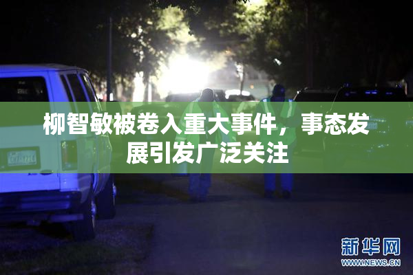 柳智敏被卷入重大事件，事态发展引发广泛关注