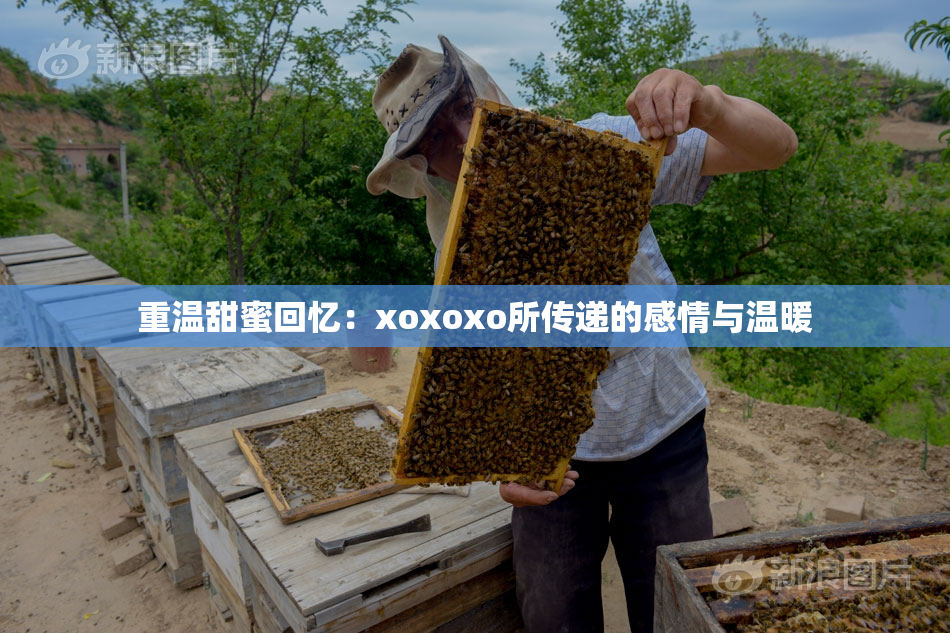重温甜蜜回忆：xoxoxo所传递的感情与温暖