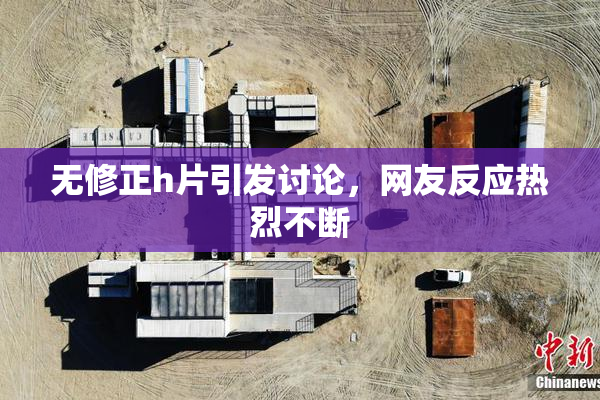 无修正h片引发讨论，网友反应热烈不断
