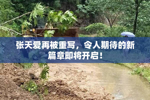 张天爱再被重写，令人期待的新篇章即将开启！