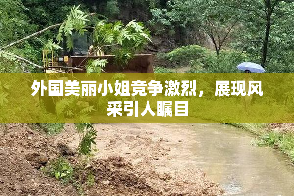外国美丽小姐竞争激烈，展现风采引人瞩目
