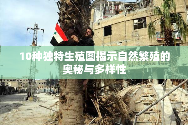 10种独特生殖图揭示自然繁殖的奥秘与多样性