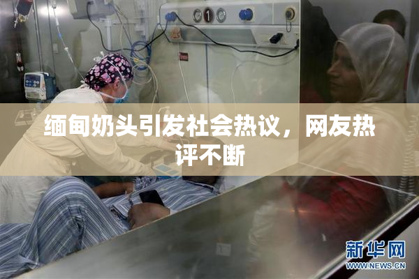 缅甸奶头引发社会热议，网友热评不断
