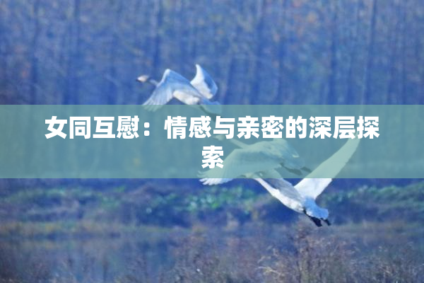 女同互慰：情感与亲密的深层探索