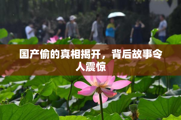 国产偷的真相揭开，背后故事令人震惊
