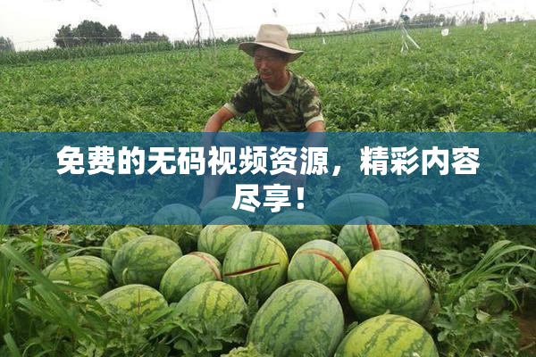 免费的无码视频资源，精彩内容尽享！