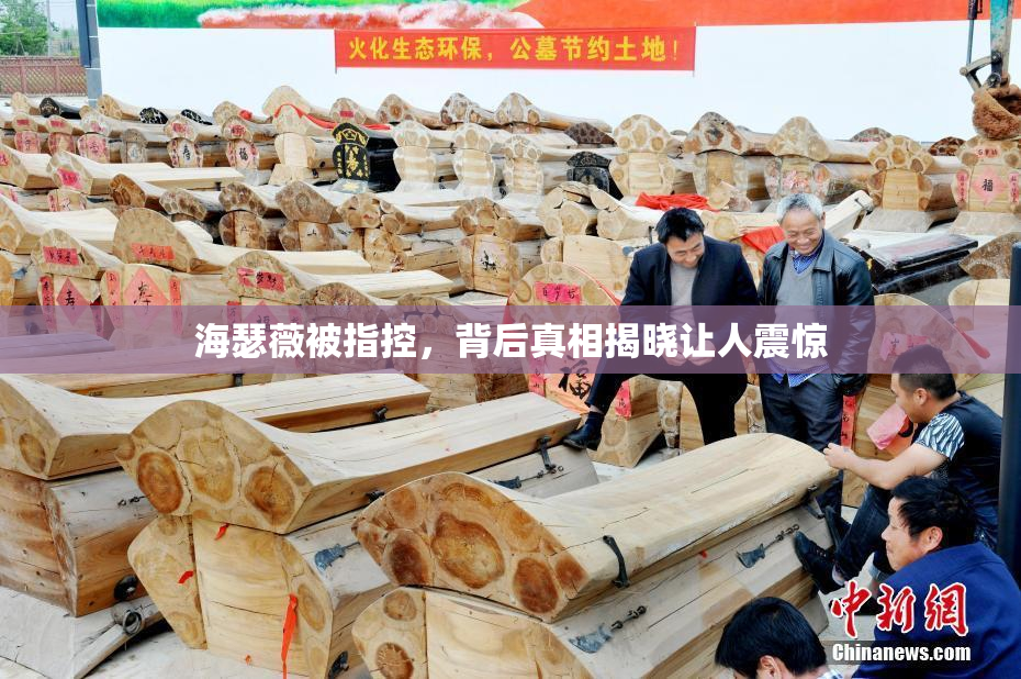 海瑟薇被指控，背后真相揭晓让人震惊