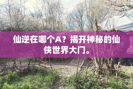 仙逆在哪个A？揭开神秘的仙侠世界大门。