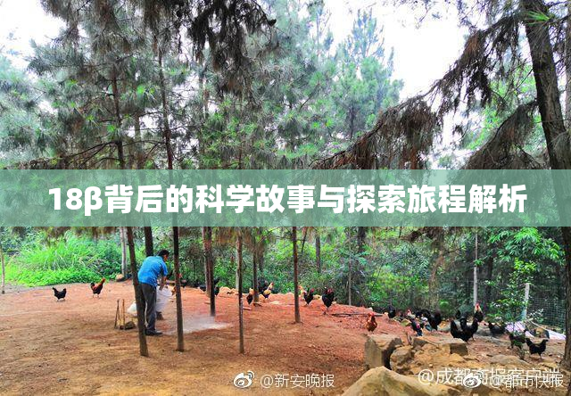 18β背后的科学故事与探索旅程解析