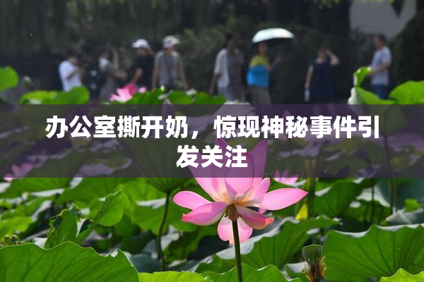 办公室撕开奶，惊现神秘事件引发关注