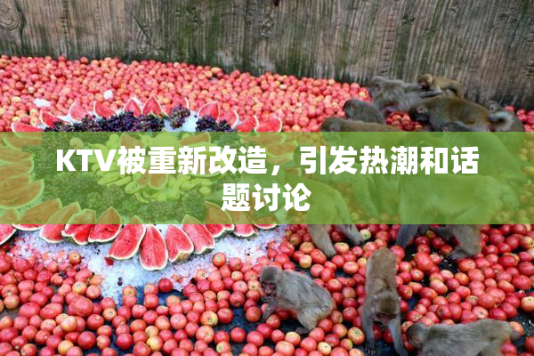KTV被重新改造，引发热潮和话题讨论