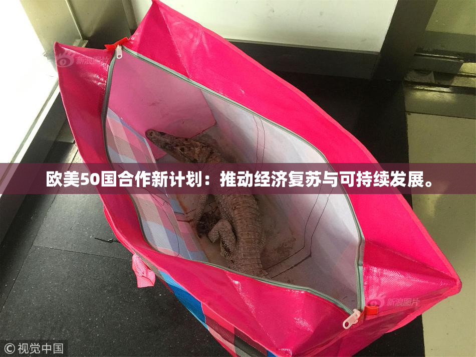 欧美50国合作新计划：推动经济复苏与可持续发展。