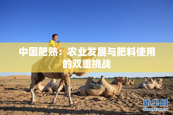 中国肥熟：农业发展与肥料使用的双重挑战