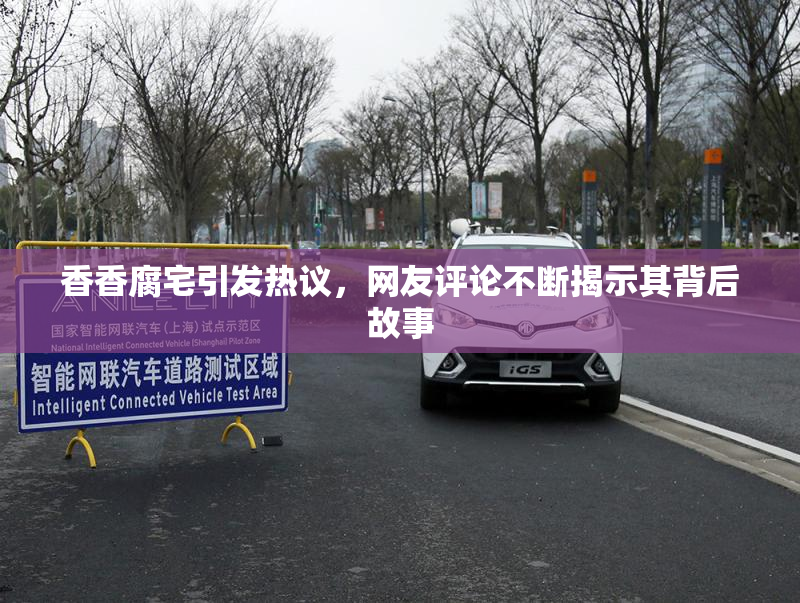 香香腐宅引发热议，网友评论不断揭示其背后故事