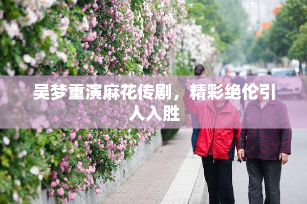 吴梦重演麻花传剧，精彩绝伦引人入胜