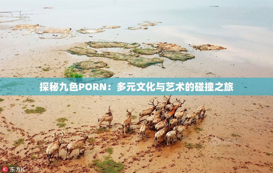 探秘九色PORN：多元文化与艺术的碰撞之旅