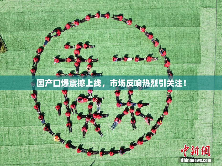 国产囗爆震撼上线，市场反响热烈引关注！