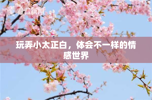 玩弄小太正白，体会不一样的情感世界
