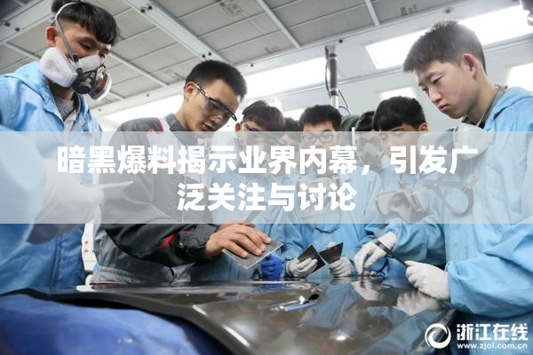 暗黑爆料揭示业界内幕，引发广泛关注与讨论