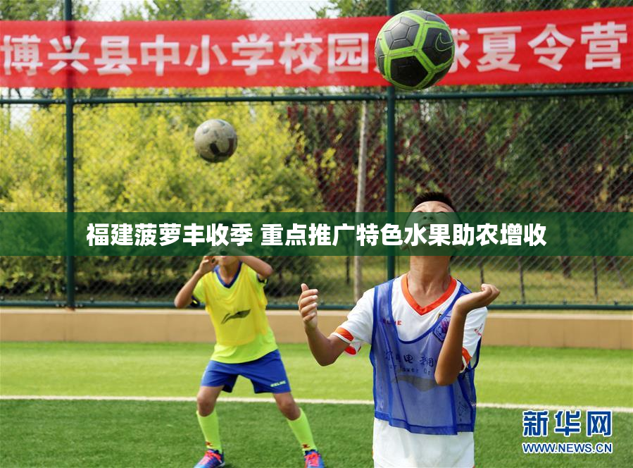 福建菠萝丰收季 重点推广特色水果助农增收