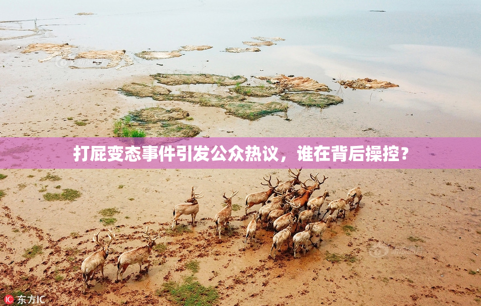打屁变态事件引发公众热议，谁在背后操控？
