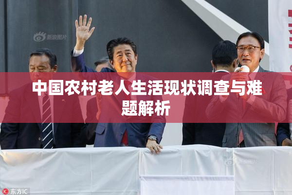 中国农村老人生活现状调查与难题解析