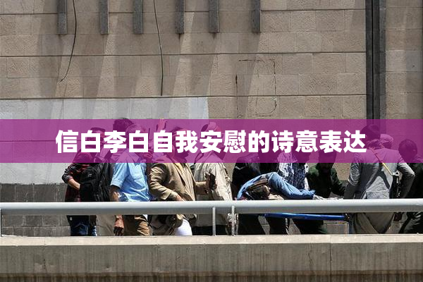 信白李白自我安慰的诗意表达