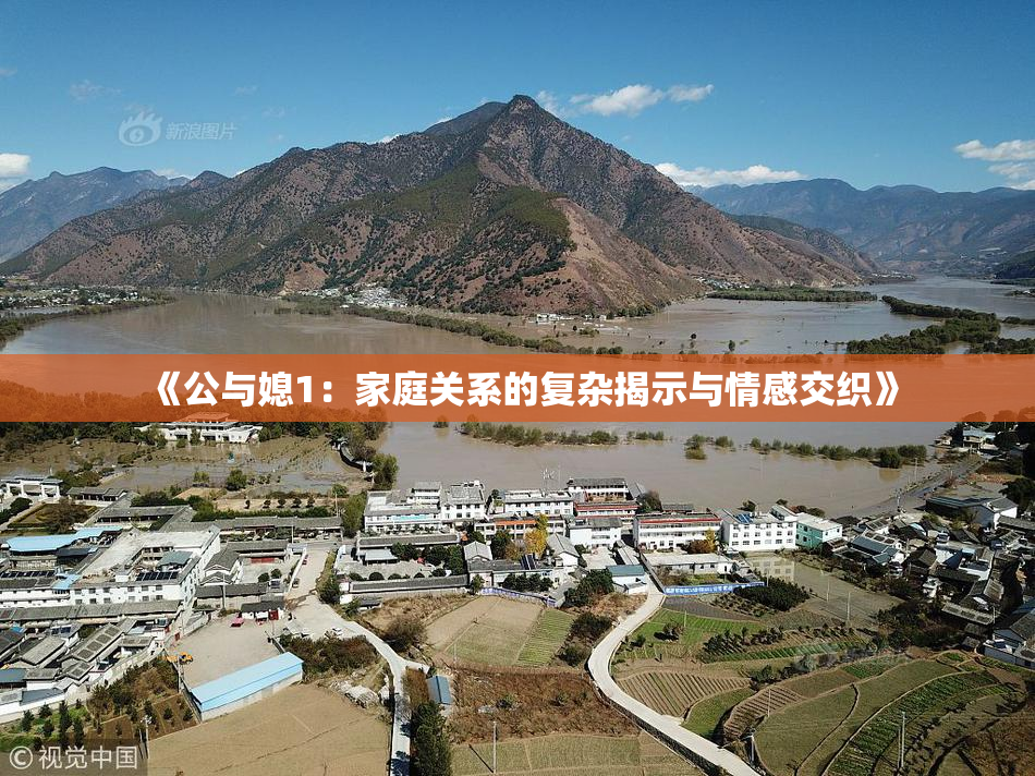 《公与媳1：家庭关系的复杂揭示与情感交织》