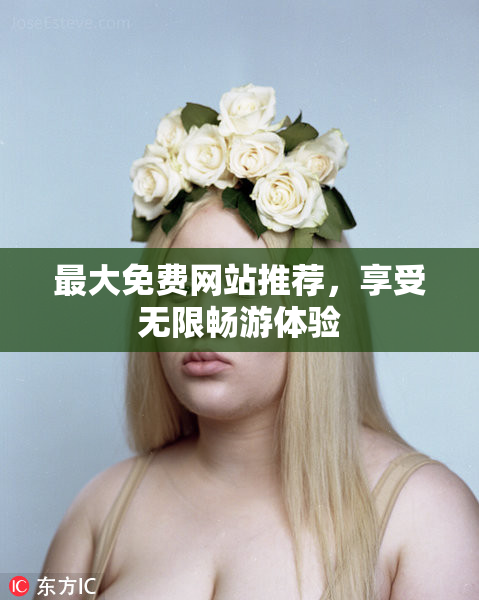 最大免费网站推荐，享受无限畅游体验