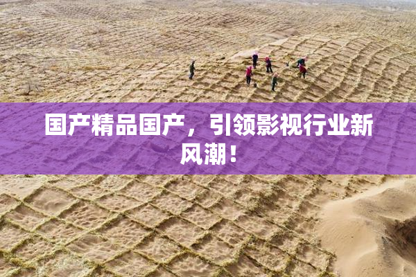 国产精品国产，引领影视行业新风潮！