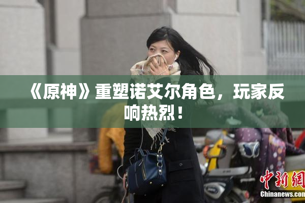 《原神》重塑诺艾尔角色，玩家反响热烈！