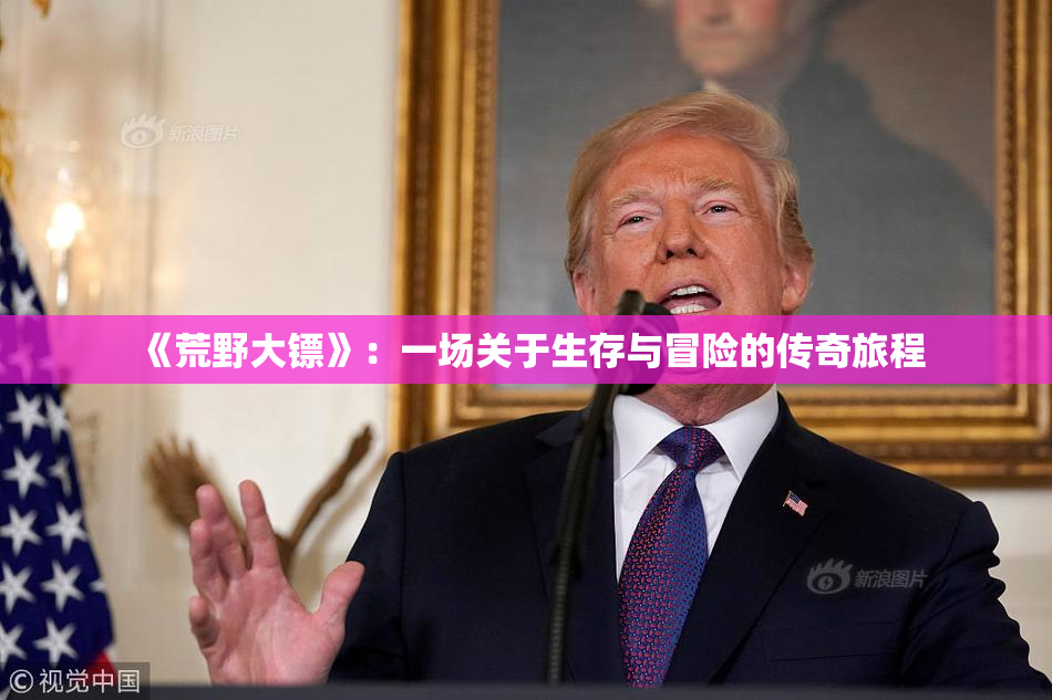 《荒野大镖》：一场关于生存与冒险的传奇旅程