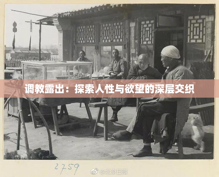 调教露出：探索人性与欲望的深层交织
