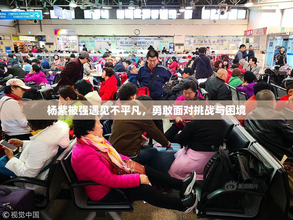 杨紫被强遇见不平凡，勇敢面对挑战与困境