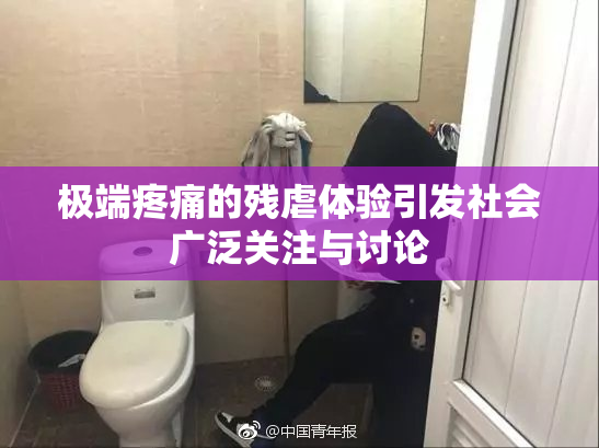 极端疼痛的残虐体验引发社会广泛关注与讨论