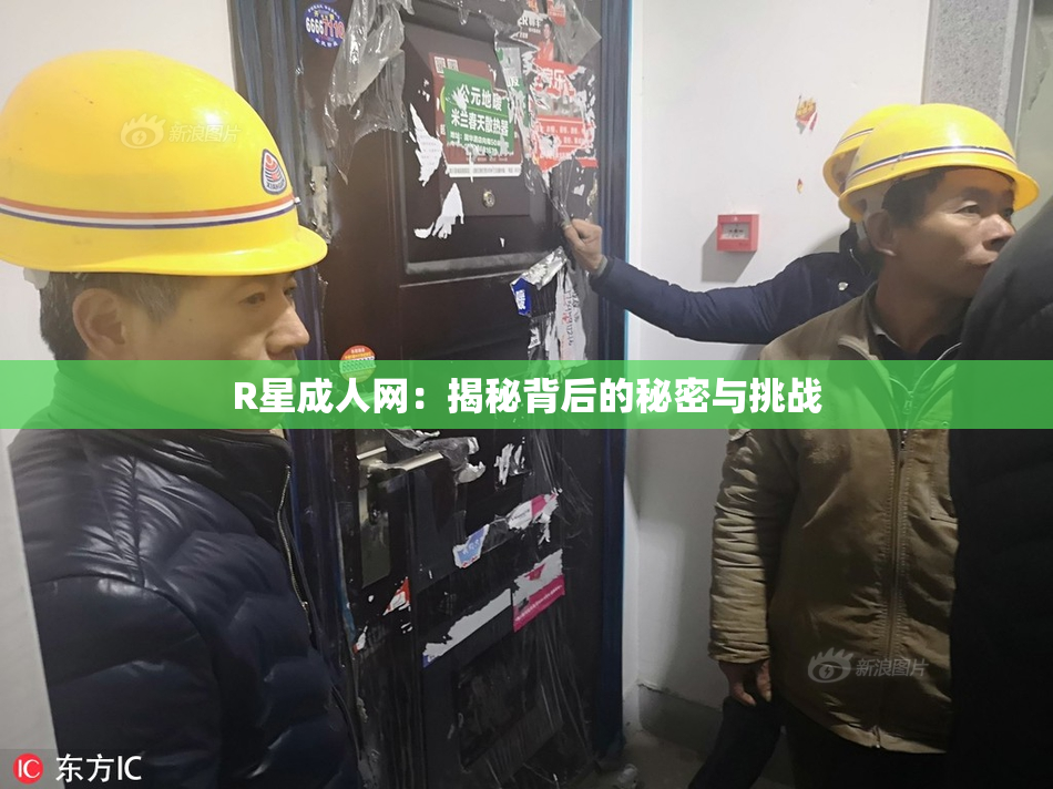 R星成人网：揭秘背后的秘密与挑战
