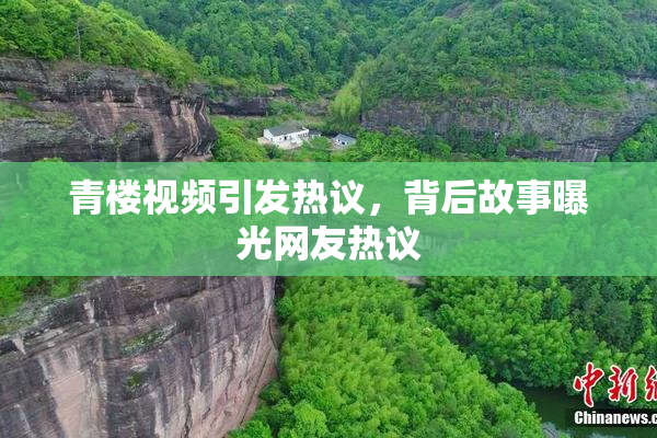 青楼视频引发热议，背后故事曝光网友热议