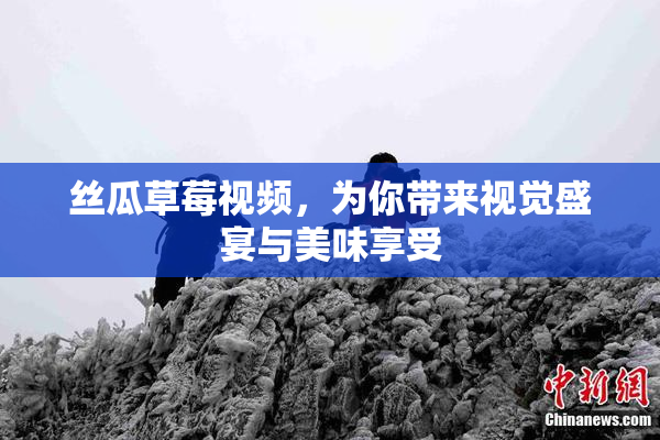 丝瓜草莓视频，为你带来视觉盛宴与美味享受