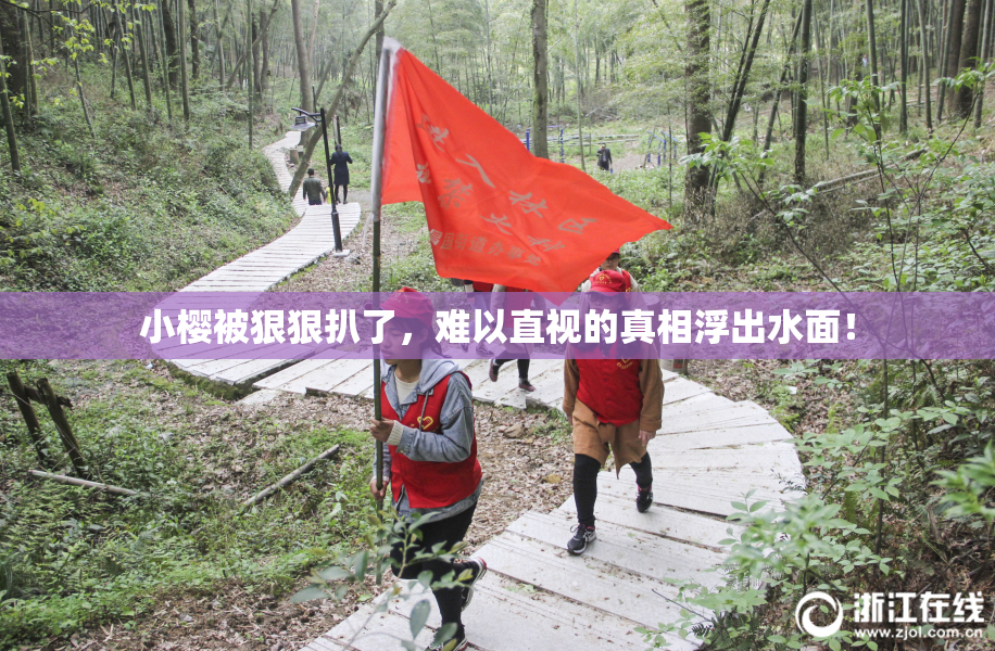 小樱被狠狠扒了，难以直视的真相浮出水面！