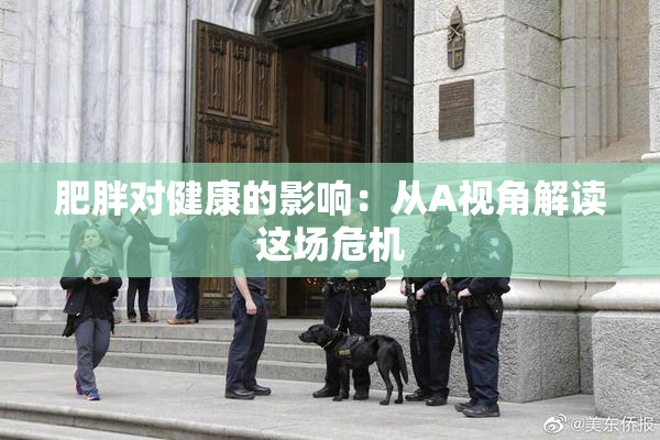 肥胖对健康的影响：从A视角解读这场危机