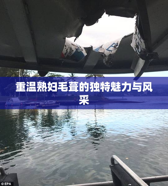 重温熟妇毛葺的独特魅力与风采